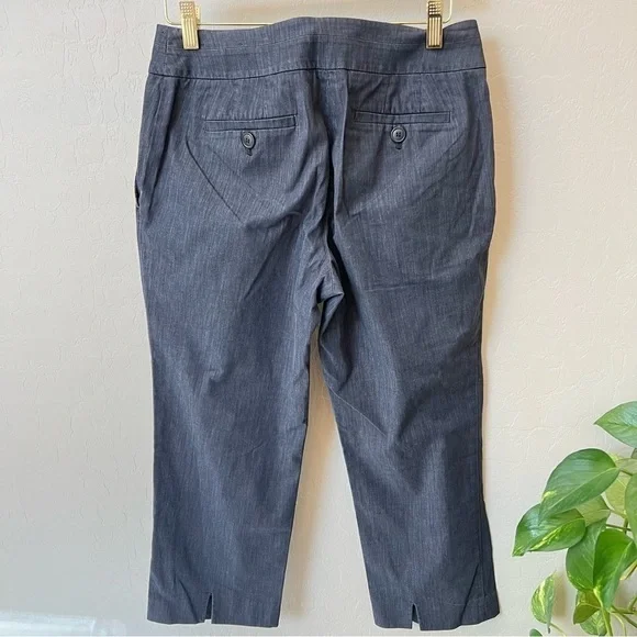 Loft Cotton blend cropped casual pant, lightweight, blue, size 4 - Picture 4 of 12